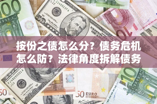北京按份之债怎么分？债务危机怎么防？法律角度拆解债务分配与风险自保指南