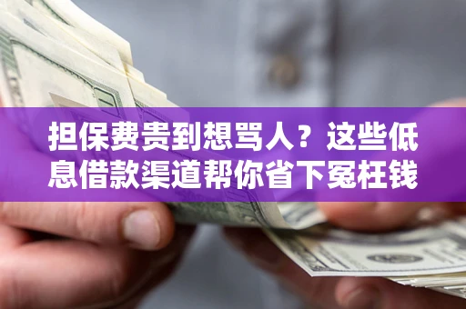 北京担保费贵到想骂人？这些低息借款渠道帮你省下冤枉钱