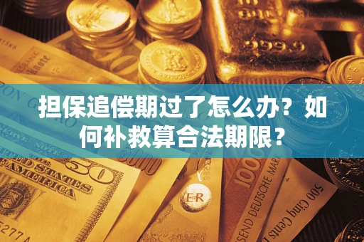 北京担保追偿期过了怎么办？如何补救算合法期限？