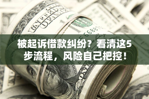 北京被起诉借款纠纷？看清这5步流程，风险自己把控！