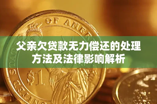 北京父亲欠贷款无力偿还的处理方法及法律影响解析